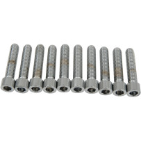 Tornillos de cabeza Allen — 1/4"–3/8", 38,1 mm (1-1/2"), plateado
