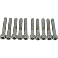 Tornillos de cabeza Allen — 2 pulg. (50,8 mm), Paquete de 5, Plata