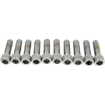 Pernos de cabeza hexagonal interior — 31.8 mm (1-1/4"), Paquete de 10, Plateado