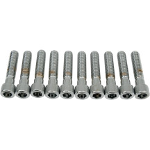 Tornillos de cabeza hexagonal (Allen) — 44,4 mm (1-3/4"), paquete de 10