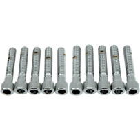 Tornillos de cabeza Allen — 50.8 mm (2"), 10 unidades, Plata