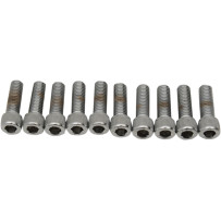 Pernos de repuesto de cabeza hexagonal interior y rosca fina — 1/4"-28, 22,2 mm (7/8"), paquete de 10, cromo