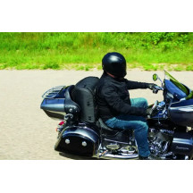 Momentum Wanderer Seat Bag — 60 L, 55.88 cm x 30.48 cm x 46.99 cm, passenger mount, Black