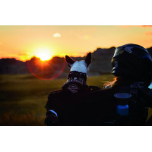 Pet Palace Titan — 56 × 47 × 30.5 cm, 78 L, Black