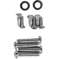 Handlebar Lever and Master Cylinder Cover Bolt Set — Handlebar lever mount, master cylinder cover, Chrome/Silver