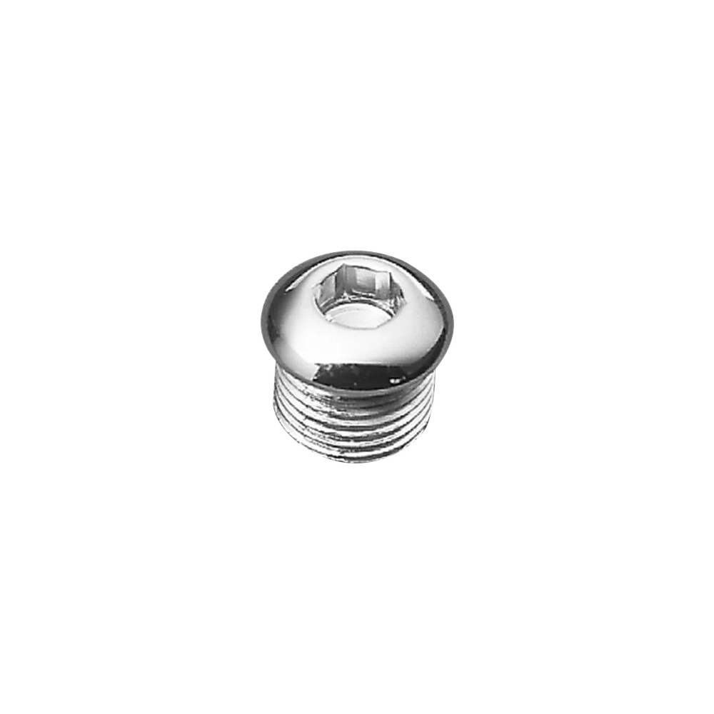 Timing and Oil Tank Drain Plug — socket head