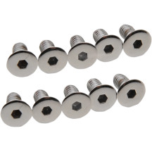 Derby/Inspection Covers Only Screw Set — Chrome, Silver