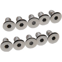 Derby/Inspection Covers Only Screw Set — Chrome, Silver
