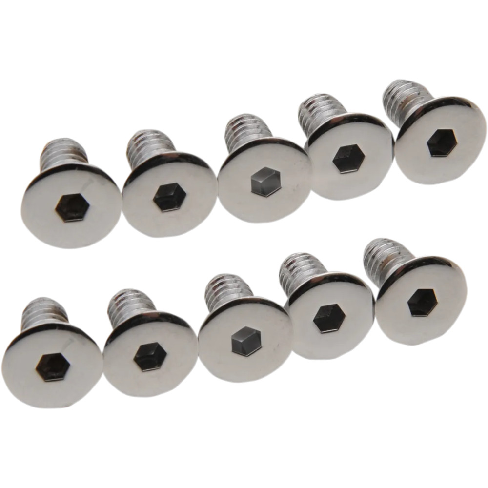 Derby/Inspection Covers Only Screw Set — Chrome, Silver