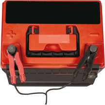 Pinzas de batería OptiMate™ — 12 V, 10 A, 50 cm, conector SAE