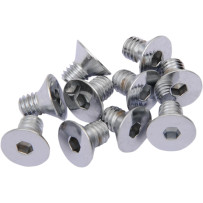 Tornillos avellanados de cabeza con hexágono interior — 15,9 mm (5/8"), Cabeza plana (avellanada), Plateado, Pack de 10