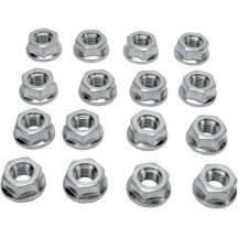 Lug Nuts — 10 mm, 17 mm head, 16 Pack, Chrome