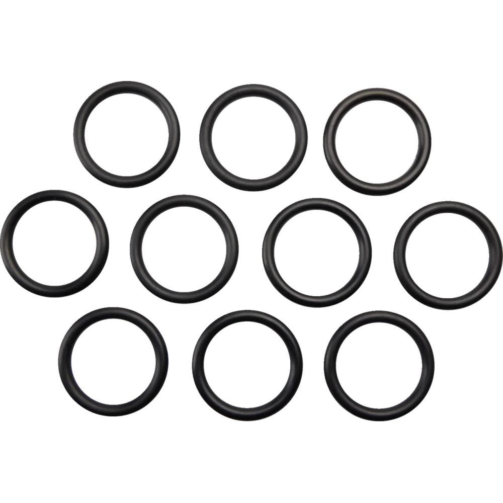Gas Cap O-Ring — 10-pack
