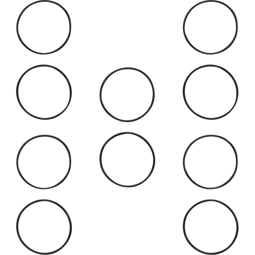 Oil Pump O-Ring — 10 Pack