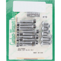 Primary Bolt Kit — Chrome, Primary Cover