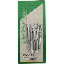 Caliper Mounting Bolt Kit — Chrome, for front