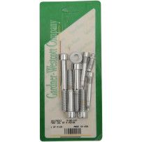 Caliper Mounting Bolt Kit — Chrome, for front