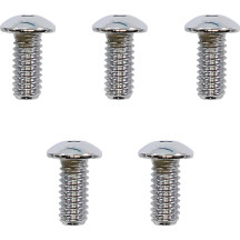 Point Cover Bolt Kit — Chrome