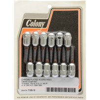 Cam Cover Acorn Screw Kit — Chrome, Silver