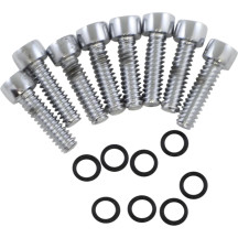 Turn Signal Lens Bolt Kit — Chrome