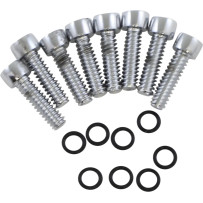 Turn Signal Lens Bolt Kit — Chrome