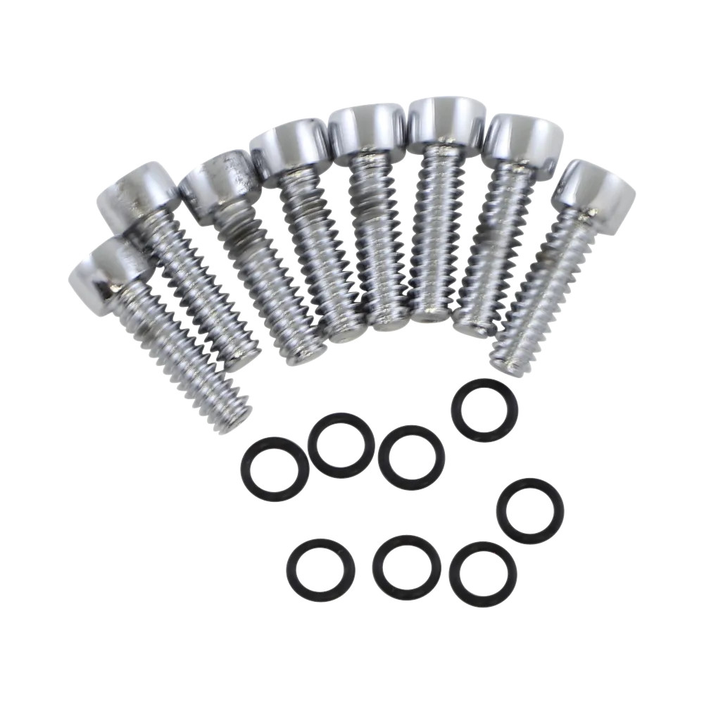 Turn Signal Lens Bolt Kit — Chrome