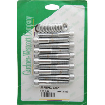 Head Bolt Set — C-74-10, Chrome