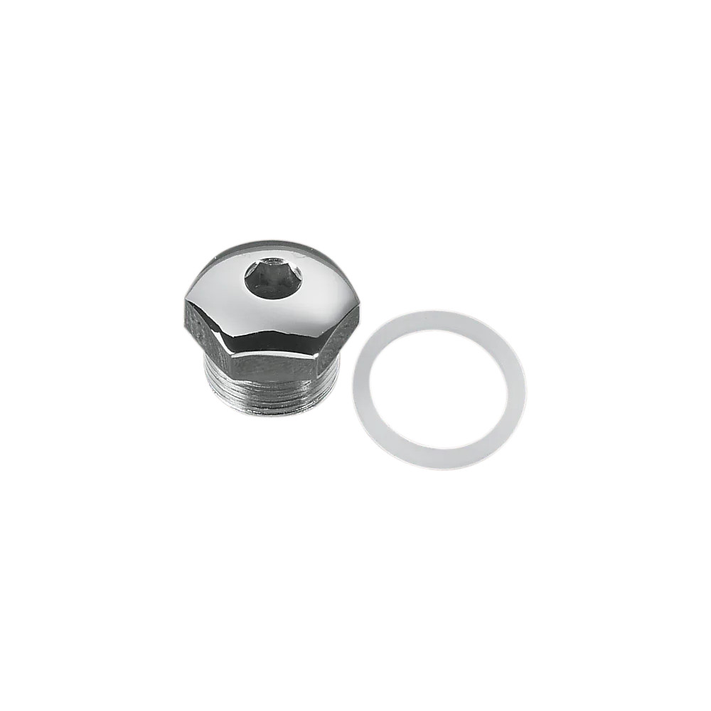 Transmission Oil Fill Plug — Chrome