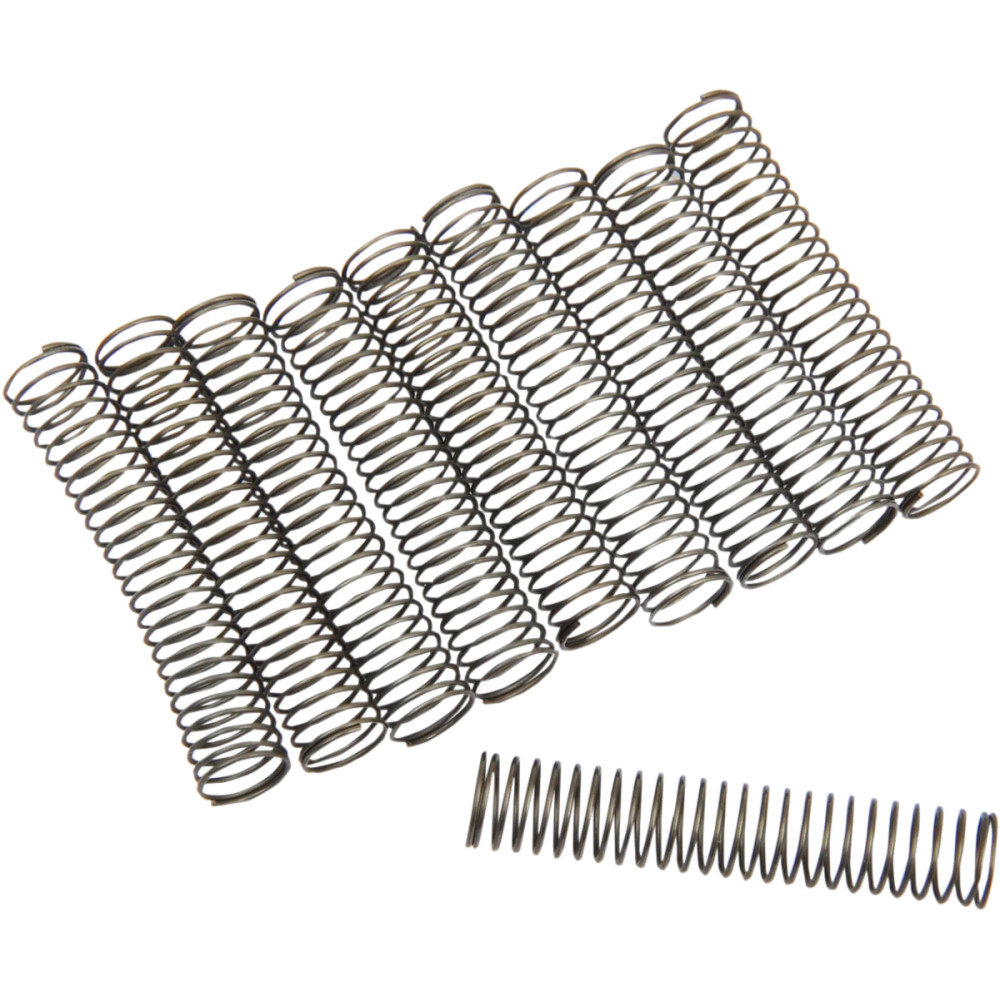 Oil Pump Check Valve Springs — 10 Pack, A-26363-36