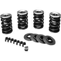 Valve Spring Kit — 0.600" lift