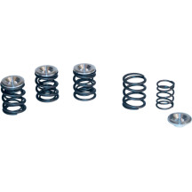 Valve Spring Kit — 0.550" lift, 140 lb seat pressure