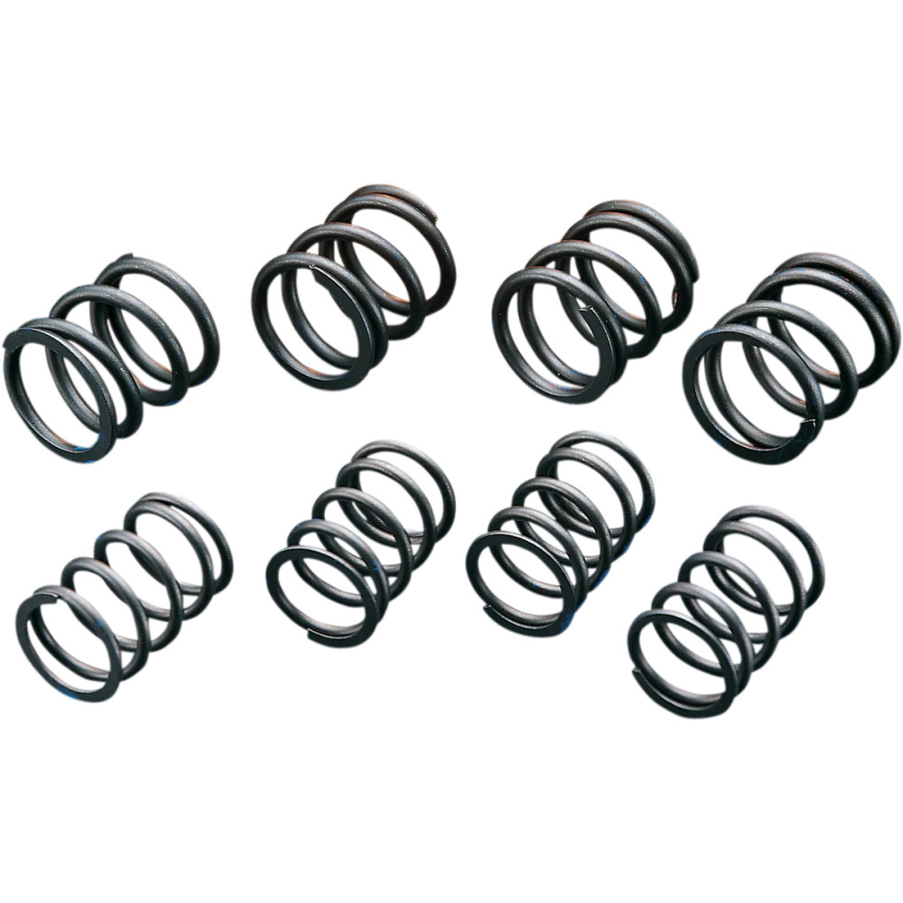 High-Lift Valve Springs — ANDREWS, 4-pack