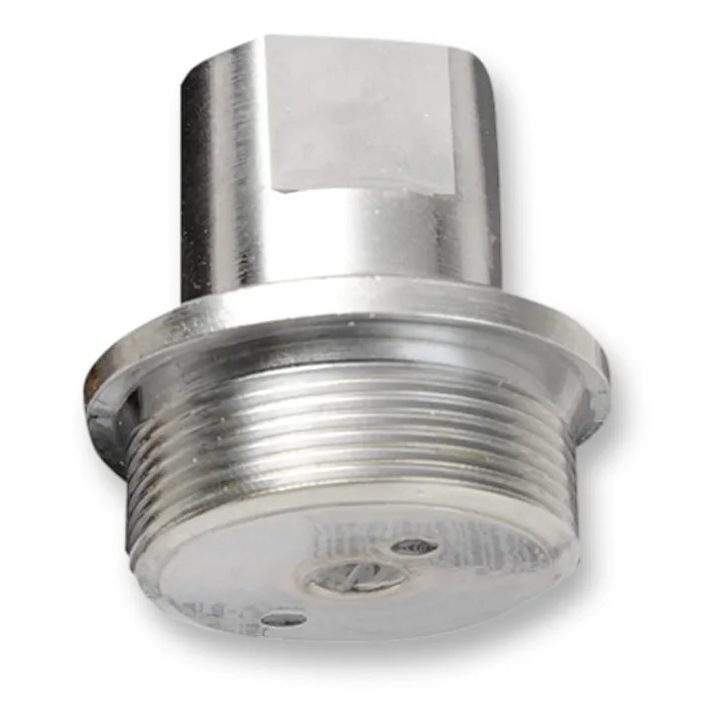 Upper Fork Tube Caps/Bolts — Chrome, Upper
