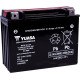 High Performance AGM Maintenance-Free Battery — 12V, 21Ah, 350A CCA