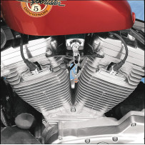 Chrome Head Bolt/Spark Plug Cover