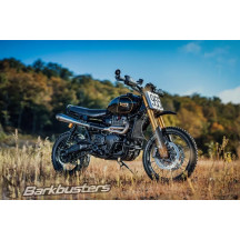 Carbon Handguards — Carbon