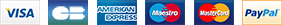 Payment method logos: Visa, CB, American Express, Maestro, Mastercard, PayPal